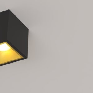 KUB BLACK + GOLD COVER