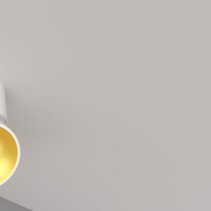 ORBITA X MINI WHITE + GOLD COVER